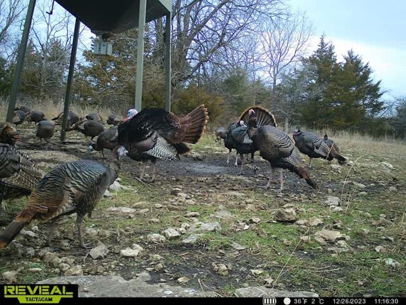 865509050410723-100-3-12262023111642-w1005713