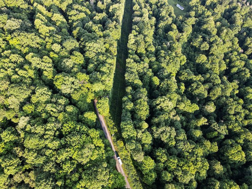 dji_fly_20240617_071932_757_1718623185379_photo 2