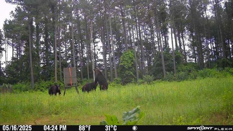 Ashley Co-40-Givens-40