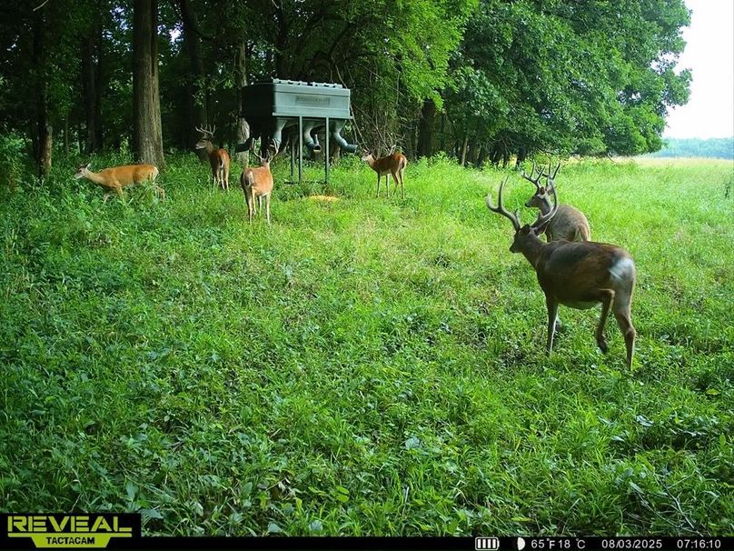 860322065946383-100-4-08032025152524-HD-SYEW0437