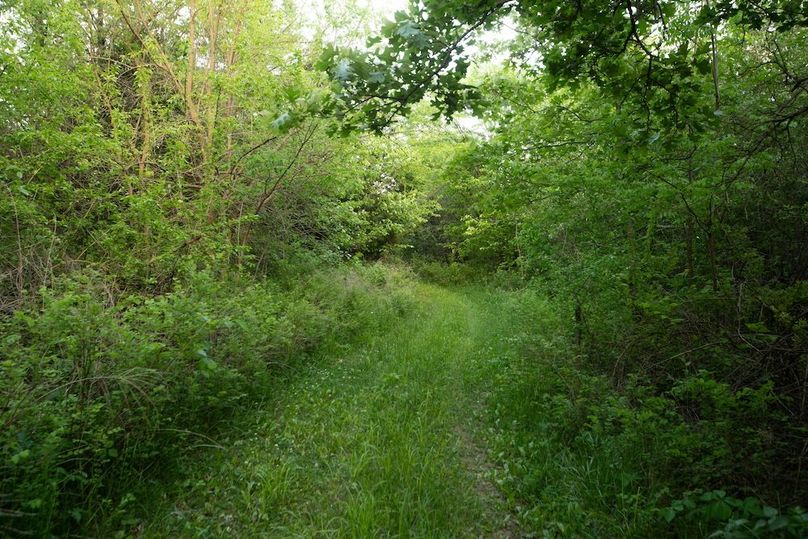 PAGE CO IA 130+_-_13