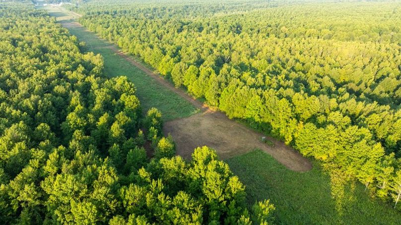 MadisonParLa1372-094