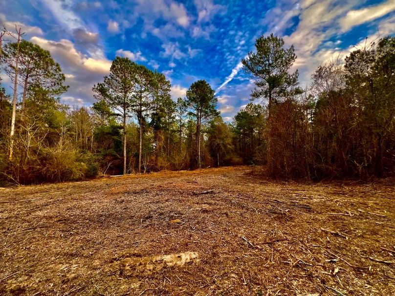 883F9544-55D8-4832-A9A4-D7B99055119A_1_201_a