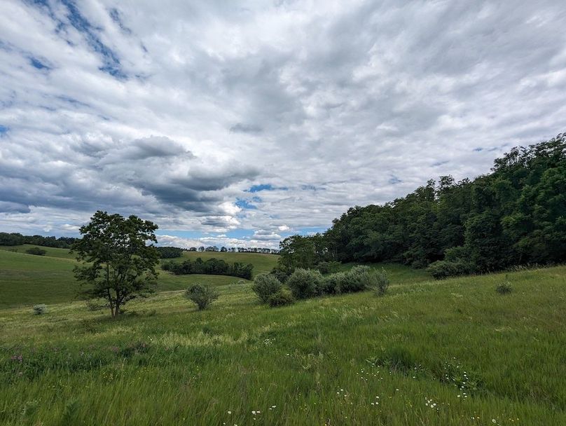 PXL_20240607_191220336