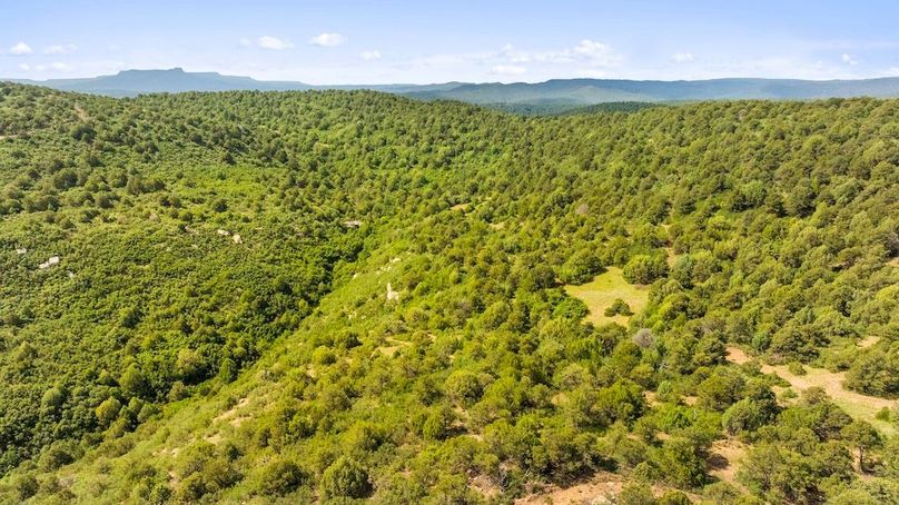 DJI_20250701113417_0054_D_1