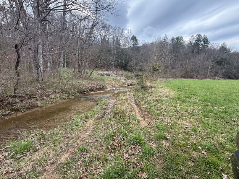 019 creek crossing into the south portion of the property