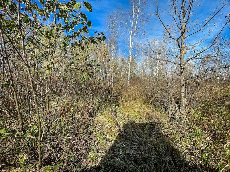 Clark 24.75 Winkel -20