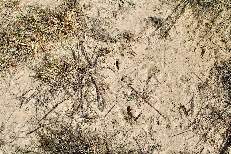 7002AC13-601D-4B6D-BC17-851814A5F29D_1_201_a