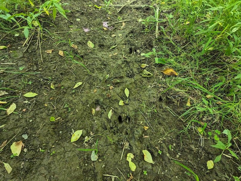 PXL_20240607_183604380