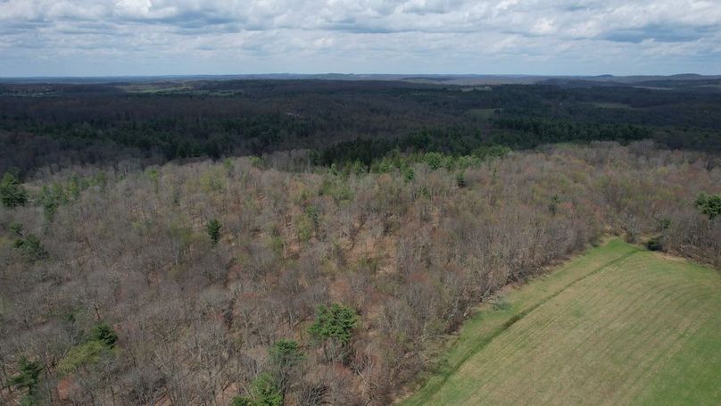 dji_fly_20260416_130124_244_1776359329830_photo