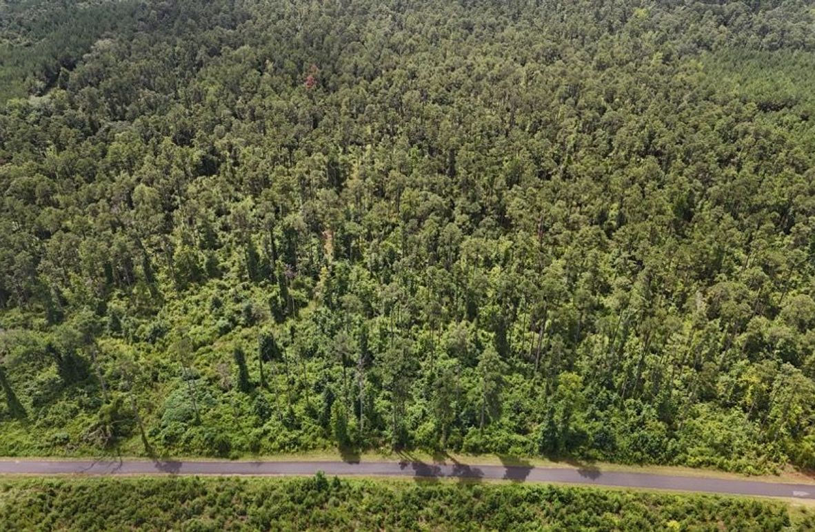 DJI_20250727011747_0526_D