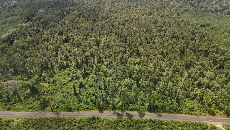 DJI_20250727011747_0526_D