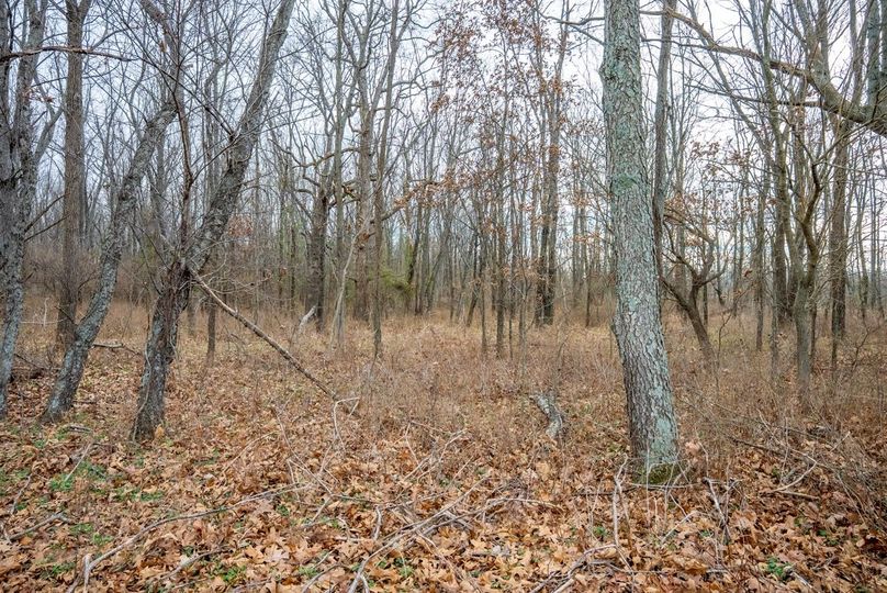 Copy of DSC00728 Large