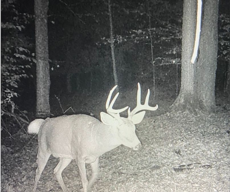 Screen Shot 2025-10-07 at 11.38.39 AM