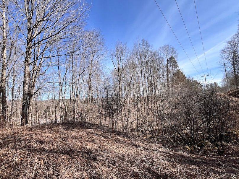 Lewis_26_Somberg Photo 55