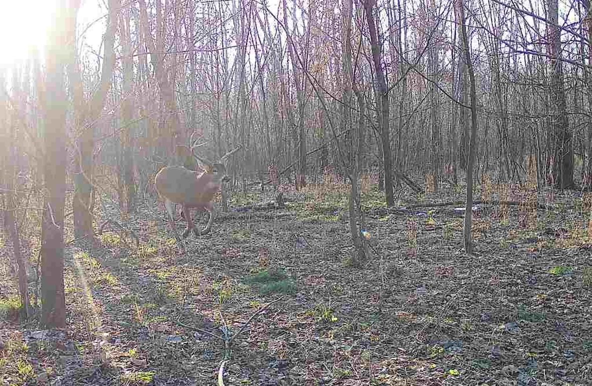 2 - 2026-01-02T122323.893