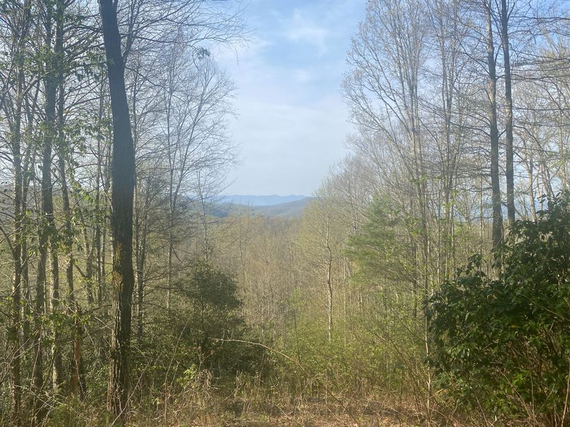 Jackson 2.19 Mansmith-10