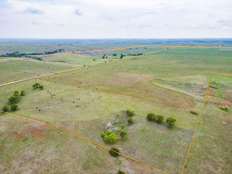 Comanche480_005 copy