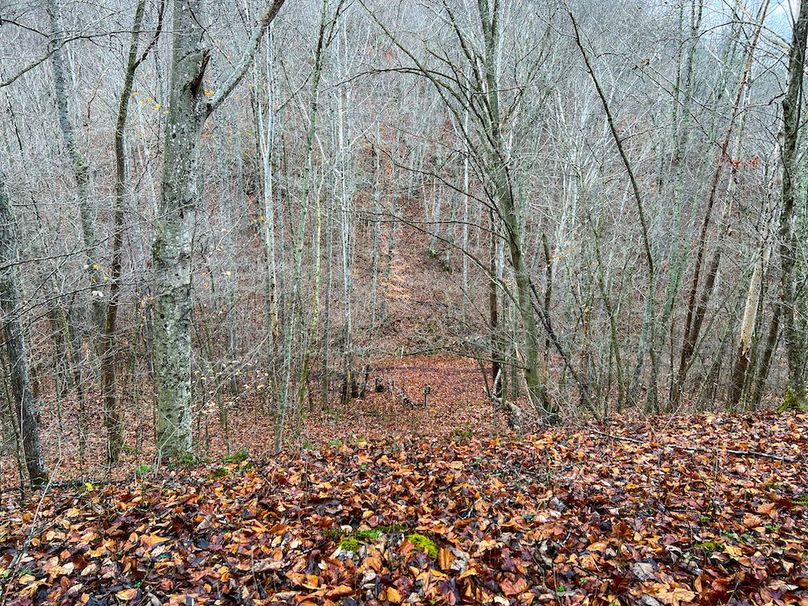 Calhoun, WV 225.69 AC Duffield-34