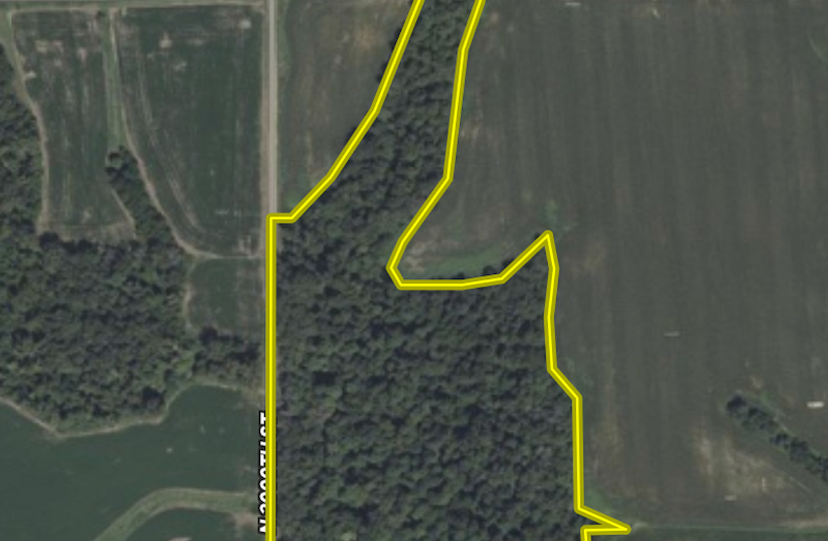 Screenshot 2026-02-09 at 8.39.40 PM