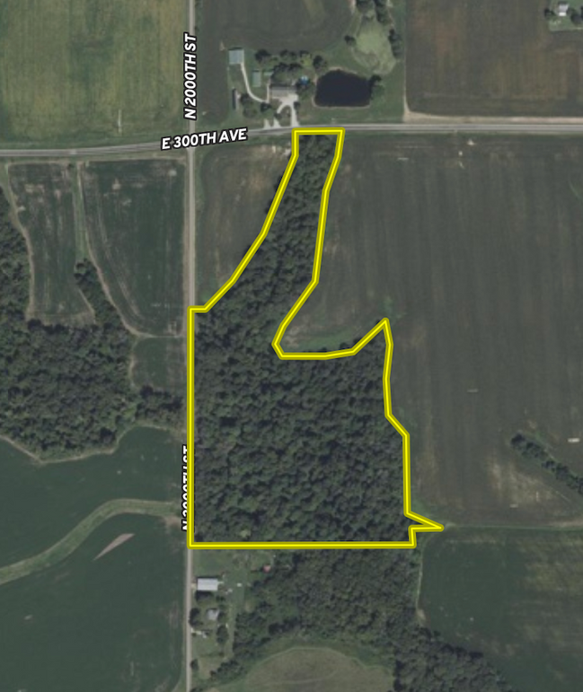 Screenshot 2026-02-09 at 8.39.40 PM