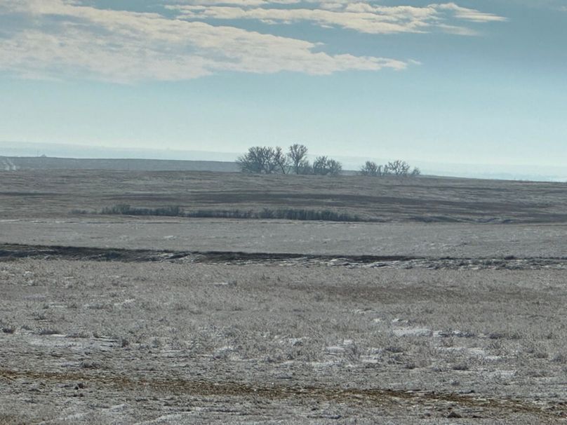 04A3A656-B217-44CA-BF9A-0FD8A1E78401_1_105_c