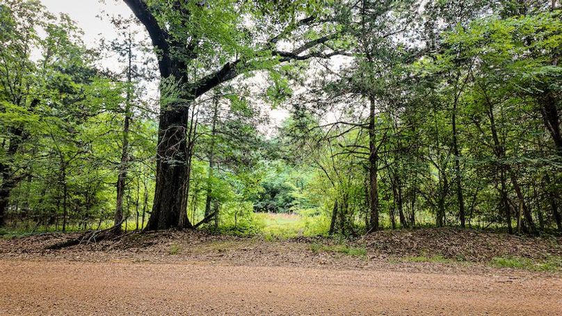 Chickasaw Tract 4-18