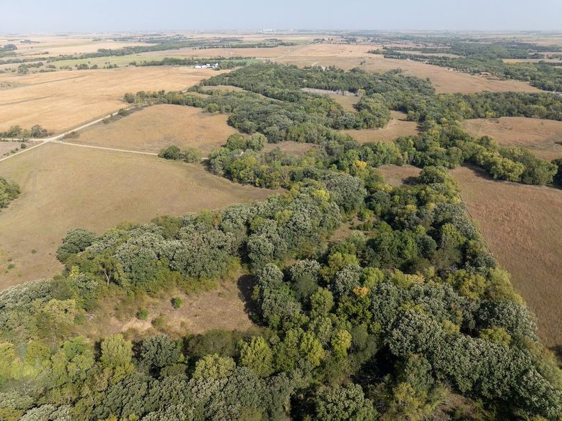 20240913-DJI_20240913104823_0096_D