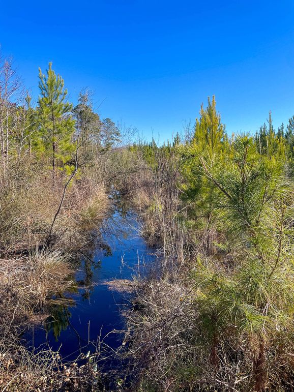 Pender NC 382 - Edits-30