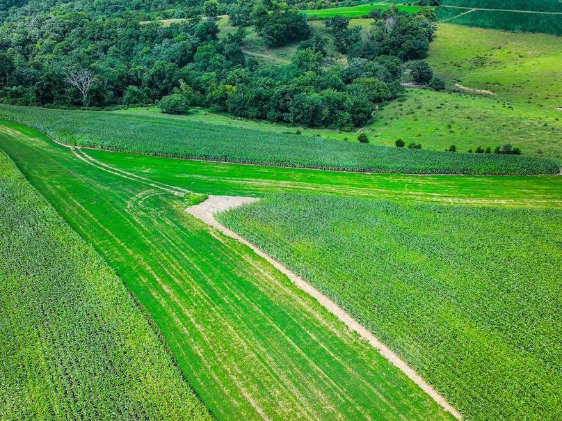 New Albin 8_8 edits-24