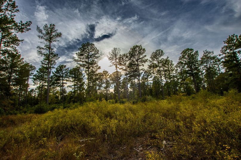 21 Upshur Co 603 ac Weise