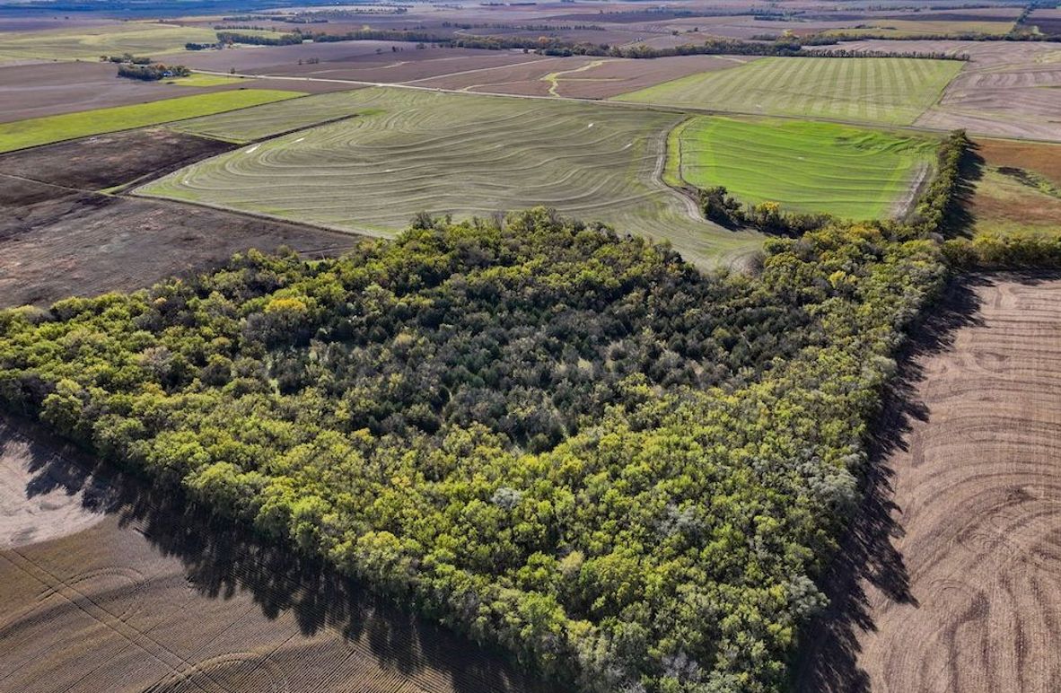 Dickinson Co, 154.5_001