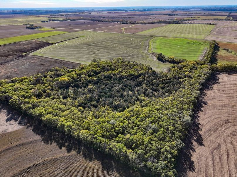 Dickinson Co, 154.5_001