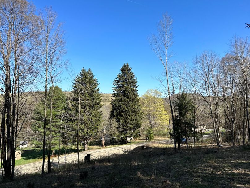 9917F5C7-291D-4833-88BD-5D36EEB5CBE5