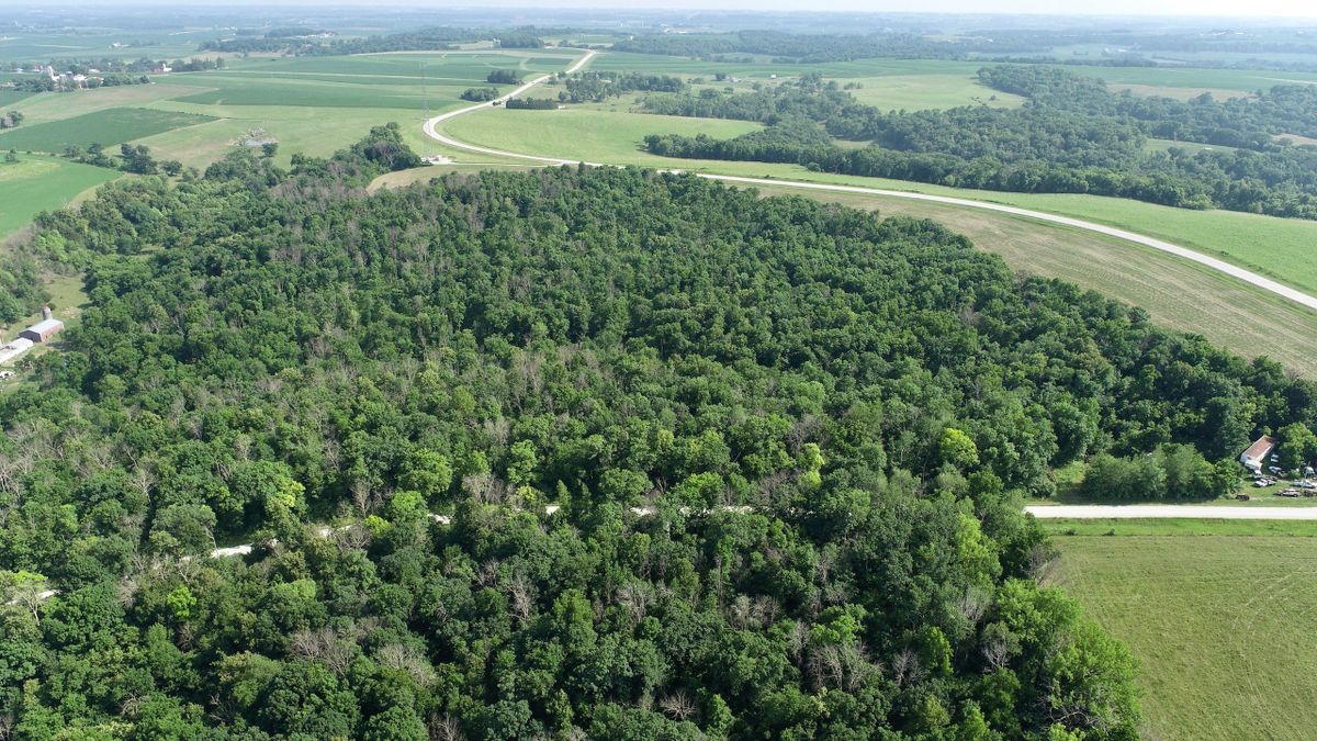 Small Buildable AllTimbered Property Less Than 5 Miles South Of