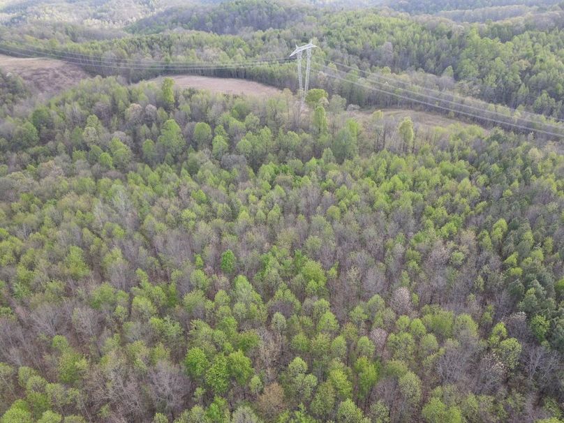 DJI_0878_W
