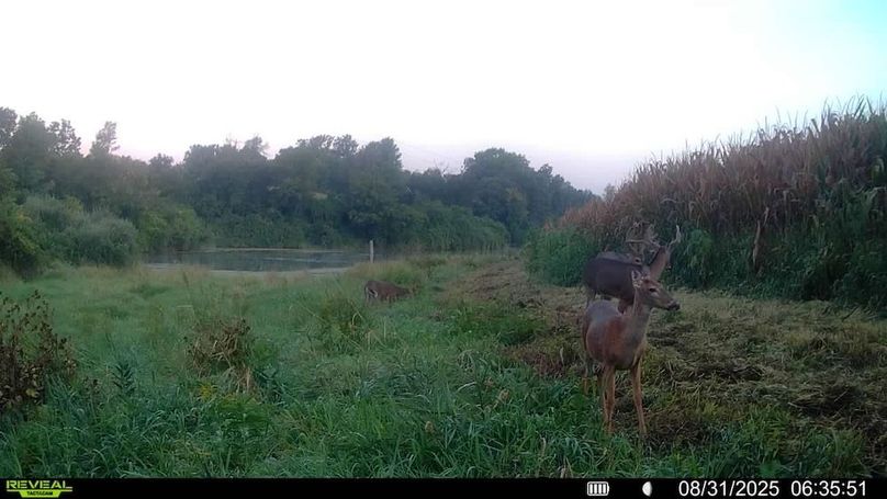 016579006920529-100-4-08312025063551-SYFW00145