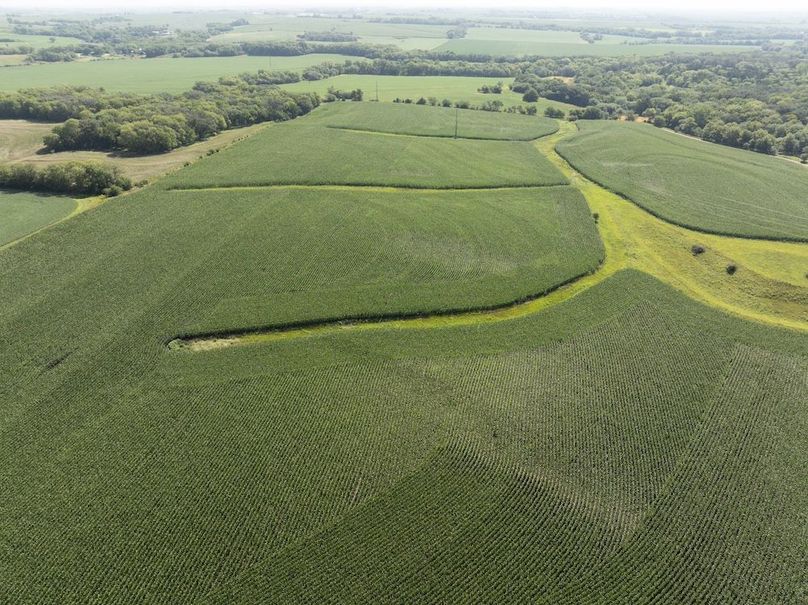 DJI_20250729101638_0066_D