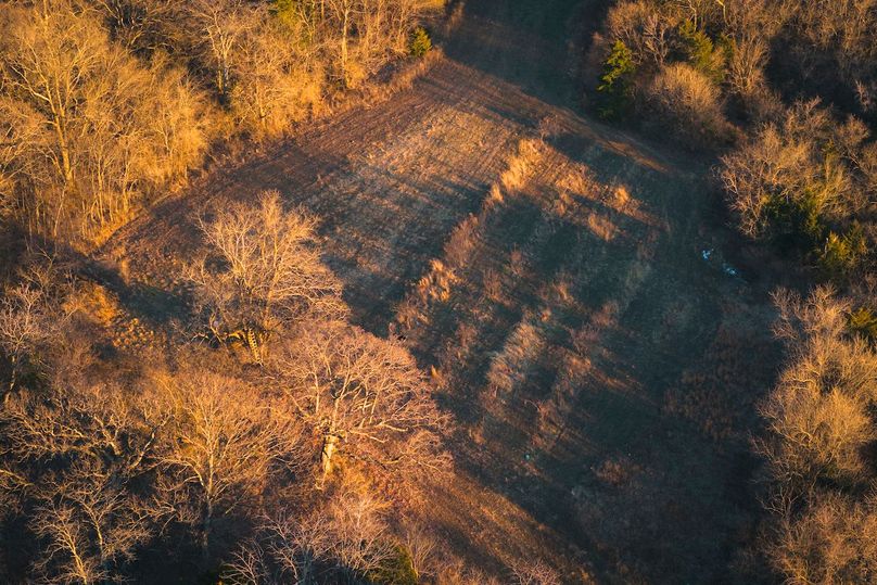 DJI_20260121163852_0462_D