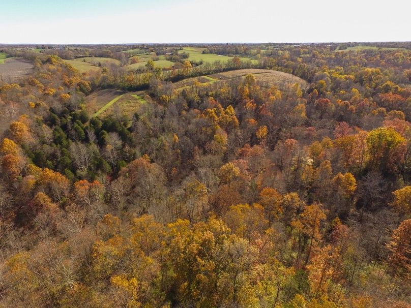 Fleming Petry 120-020