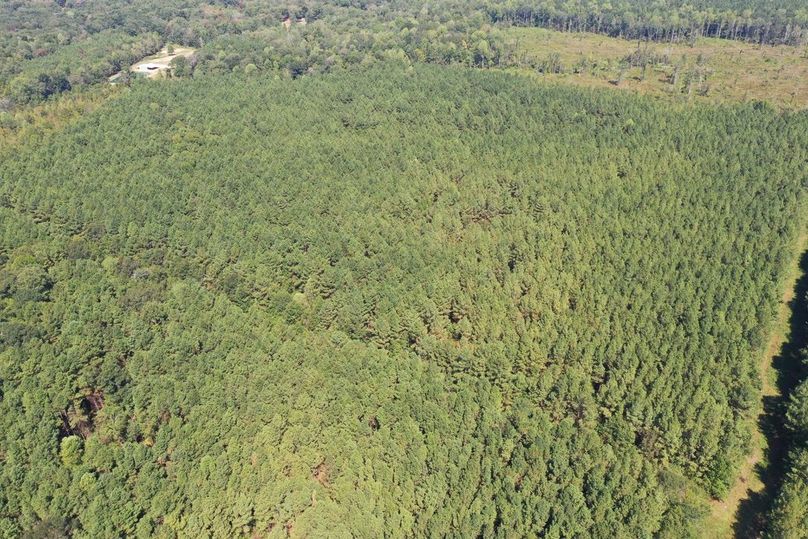 48843C93-B41C-481C-9F2B-723689C6D882_1_105_c