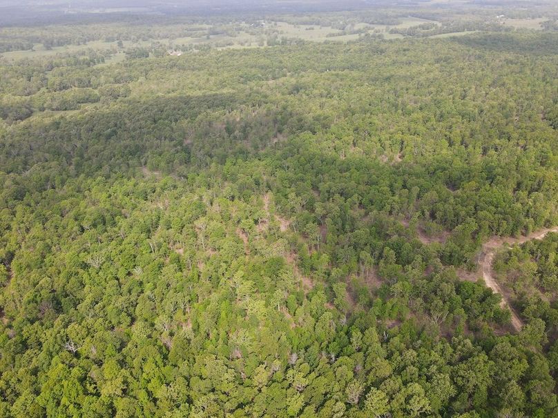 F2F2A998-B902-4229-9C06-7CFEC9477185_1_102_o
