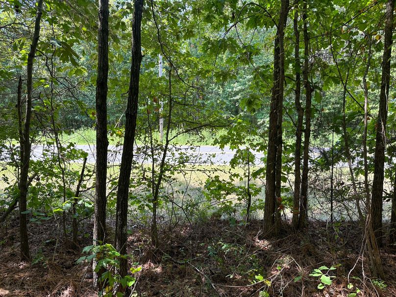 Shady Oak rd (31)