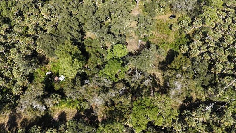 DJI_20251121124858_0036_D