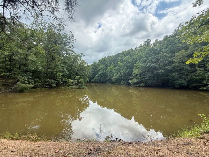 014 the 1 acre stocked pond in the east area of the property