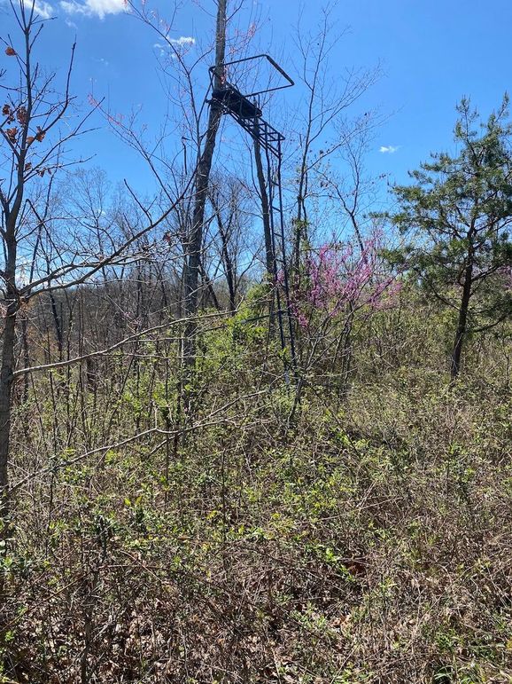 Carter Gordon 70 +_- 006