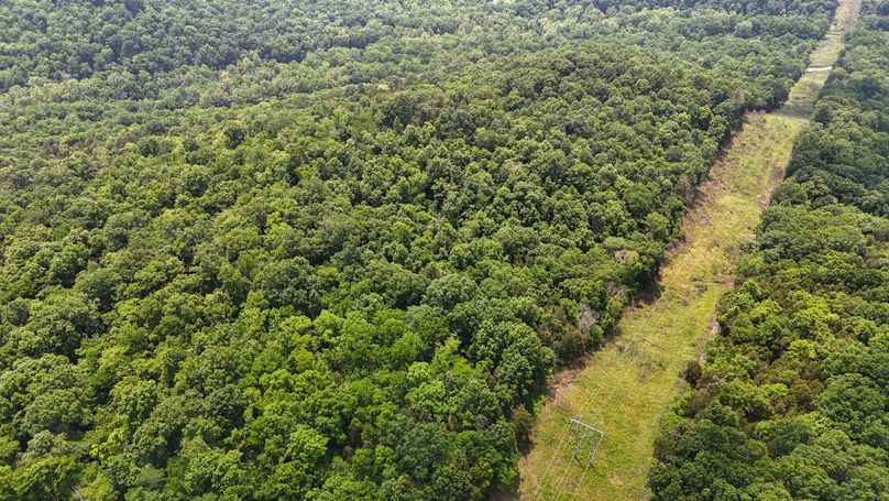 DJI_20250604132859_0018_D