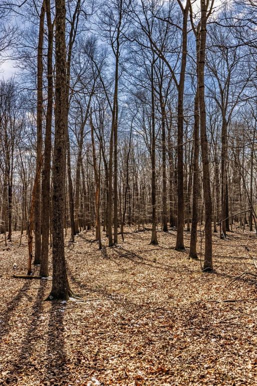 38-web-or-mls-IMG-38