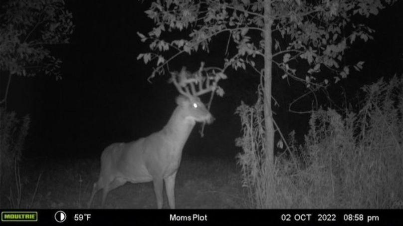 Screenshot_20221003-120602