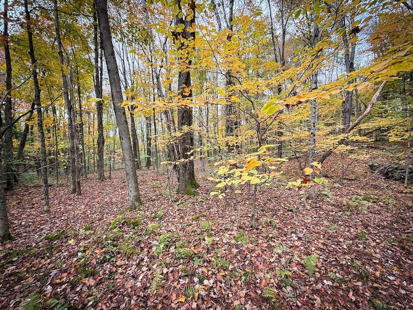 Oswego NY 6.68 Photos 27